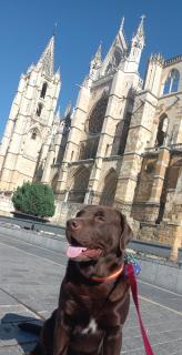 Bonjour Cathedrale by ARoom VUT-LE-1187 - León - 0