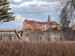 Stadtmitte mit Schlossblick! - Sigmaringen - 0