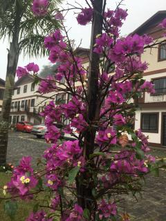 Ecoapê - Petrópolis - 1