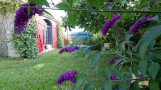 Les jardins d'Ispahan - Prignac-et-Marcamps - 2