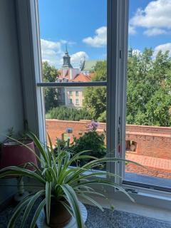 Krzywe Koło 14-16-18 m7 - 8