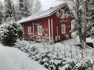 A cosy cottage with comforts - Tammela - 0