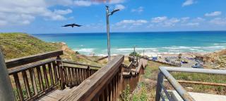 The Rose Villa by the Sea - 9