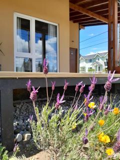 Departamentos Kolibri - 4