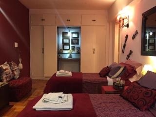 Recoleta, cerca de todo , amplio! - Buenos Aires - 9