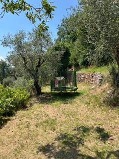 Gîte des oliviers - Utelle - 6
