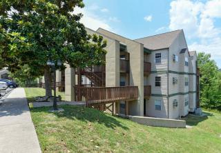 Beautiful Branson Getaway-Next to Silver Dollar City &Tablerock-Family Amenities - Branson - 0
