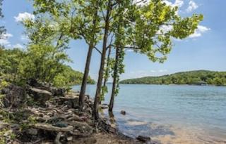 Beautiful Branson Getaway-Next to Silver Dollar City &Tablerock-Family Amenities - Branson - 3
