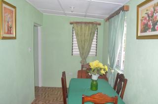 Little Shaw Park Guest House - Ocho Rios - 7