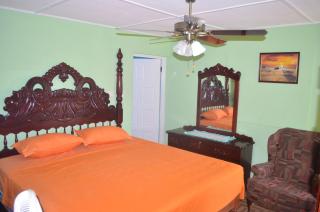 Little Shaw Park Guest House - Ocho Rios - 4