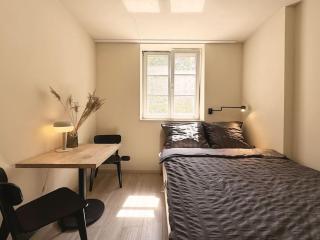 Natural apartment in the City Center - Old Town - Breslavia - 8