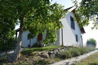 Domačija Vrški - Slovenska Bistrica - 4