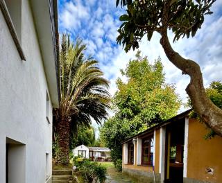 Finca María - Castropol - 9