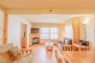 North Ridge Mountainside Condo - Biwabik - 9