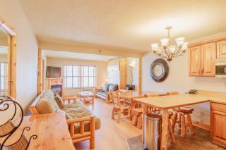 North Ridge Mountainside Condo - Biwabik - 4