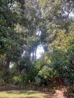 Bird Paradise & mini farm - Bendigo - 3