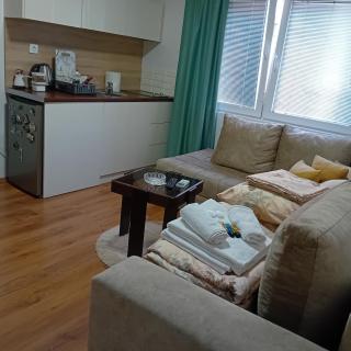 Gogo Apartman - Ohrid - 3