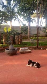 Aastha homestay - 6