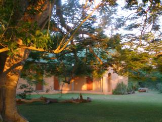 Buffalo Thorn Bed & Breakfast - Hluhluwe - 9