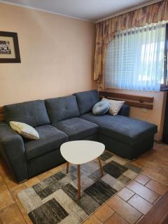 Hiša Heidi - Zavrč - 3