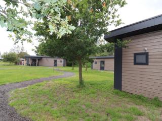 Chalet with shared pool near Giethoorn - Blesdijke - 5