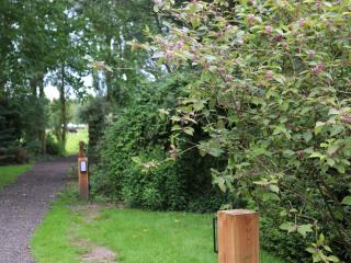 Spacious chalet in a rural location near Giethoorn - Blesdijke - 5