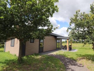 Spacious chalet in a rural location near Giethoorn - Blesdijke - 4