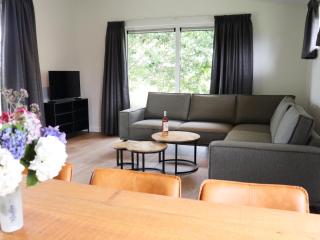 Holiday Home in Blesdijke near Giethoorn - Blesdijke - 9