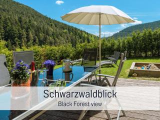 Wellness Ferienhaus Fronwald - Alpirsbach - 9