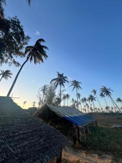 Chuiba Palms - Pemba - 9