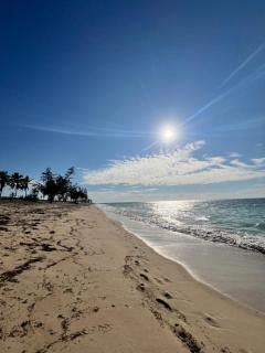 Chuiba Palms - Pemba - 8