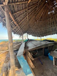 Chuiba Palms - Pemba - 5