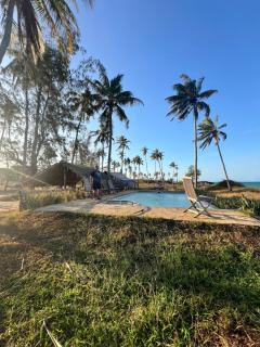 Chuiba Palms - Pemba - 2