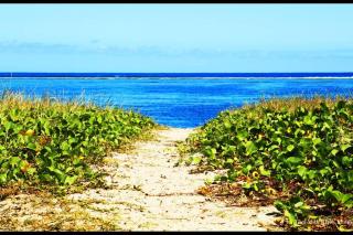 Logement bord de mer - Saint-Paul - 0