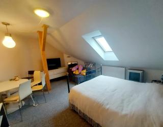 Villa Relax - Havlíčkŭv Brod - 6
