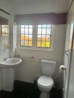 Picturebook cottage on prestigious polo estate - Stedham - 5