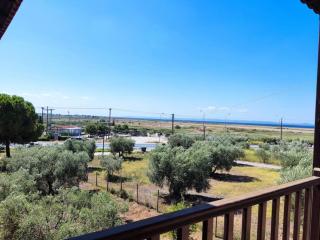 Psakoudia old olive trees appartment 50 m2, 2 bedrooms, sea view - Psakoudia - 6