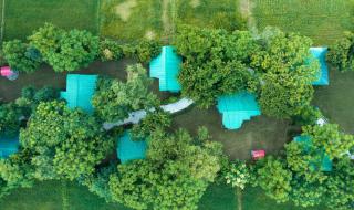 Tiger Trail Resort - Jhirna - 1