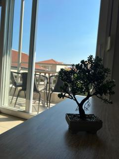 IFI'S Apartments - Lefkada - 6