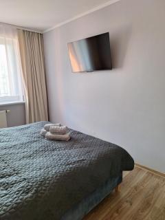 Apartament na Polnej - Chełmno - 4