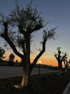 Tenuta57 - NUOVISSIMO B&B - IMMERSO NELLA TRANQUILLITÀ - POCHI MINUTI DAL MARE DI TERRACINA - PRIVATE PARKING - FREE WI-FI - Terracina - 7