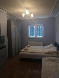 Vila Austrija - Vrnjačka Banja - 8