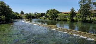La terrasse du pêcheur - LʼIsle-sur-la-Sorgue - 4