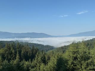 Golden Nest - Yablunytsya - 5