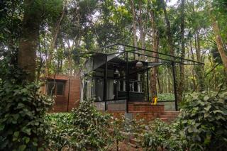 Cove by Raho - Nestled Away Retreat - 4