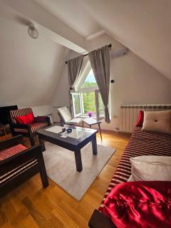 Bozovic Studio Apartman - 7