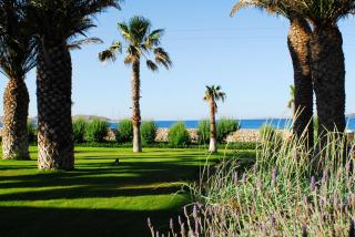 Villa Bellonia - Naousa - 1