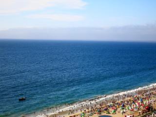 Torres del Pacifico - 1602 - Viña del Mar - 6