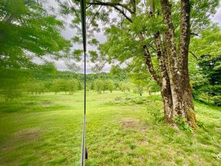 Una stanza nella piana di Campo di Bonis - Friland - 1
