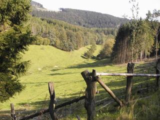 Sonneneck - Winterberg - 5